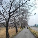 버들농장 | [걷기] 지리산둘레길 2구간 (운봉~인월)