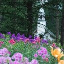 펜션1996 이미지