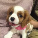 조은동물병원 이미지