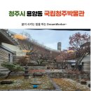 “비상2000”조형 | 청주시 명암동 국립청주박물관