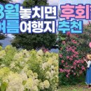 7~8월에 놓치면 후회하는 국내여행지 | 연꽃명소 수국명소 배롱나무꽃명소 이미지