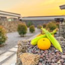 잎새바람 펜션 이미지