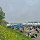 제3회 이순신 백의종군길 마라톤 10km 여자 후기