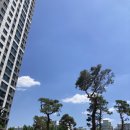 이경록탁구클럽 | 레슨후기) "탁구가 이렇게 재미있는 운동인 줄 몰랐어요!" @탁구초보도 가능한 1대1 레슨