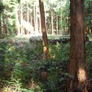 남원읍-54 이미지