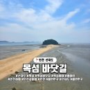 바닷길 풍경 | 인천 선재도 목섬 바닷길, 주차 물때 보는법 신비의 섬 탐방기