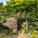 송산제 | [신림왁싱트리 숙소맛집] 순천국가정원 송산제펜션 이씨고택 100년고택 낙안읍성민박 순천펜션 순천풍경...