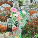 아인플로라 이미지