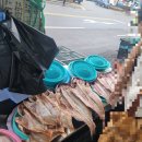 남진수산 이미지