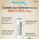 닥터영