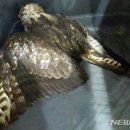 화순LPG충전소 이미지