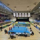 한국체대 복싱 이미지