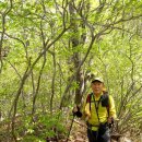 화채봉 계곡펜션 | 봉복산산행후기 1