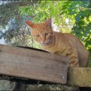 계룡산호텔 이미지