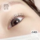 박자매살롱 이미지