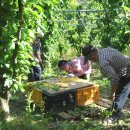 은식농장 이미지