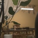 퍼퓨머리랩오감 | [공지] 대구향수공방_9월향수원데이클래스후기: 미드나잇 인 파리를 모티브로 한 수성구 감성체험카페...