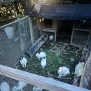 큐브스테이 이미지