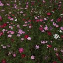 광양커뮤니티센터 이미지