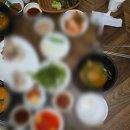 신세계꽃돼지