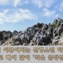 삼성탕 이미지