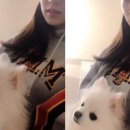 홈종합동물병원 이미지