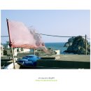 용호농장 이미지