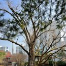 원당마을경로당 이미지