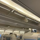 1145 | 김포 오사카 간사이 아시아나 비즈니스 클래스 OZ1145 탑승기｜좌석·기내식 솔직 후기