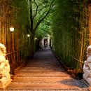 드래곤힐게임장 이미지