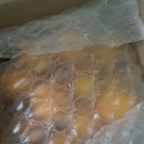 바티 | 설선물 제주 한라봉 택배 추천 바티가다 한라봉후숙법 맛 후기