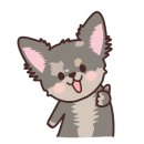 까비애견 이미지