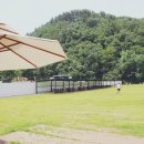 도기온 (doggyon) 이미지