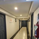 호텔 모모 | 치앙마이 모모호텔 자세한 후기(MOMO HOTEL)