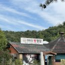 강원철원 | 고석정꽃밭 근처 가볼만한 카페 한탄강뷰 베이커리카페 :: 한탄강빵명장