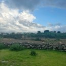 시적인순간 스테이 | 시적인순간 스테이 내돈내산 후기