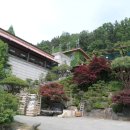 용운산성식당 이미지
