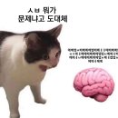 우리신경과의원 | 20대 젊은 피지만 어지러워 임태성 신경과 가서 진료 뇌 MRI 촬영한 후기