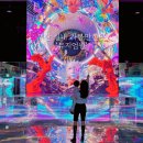 엄다어린이집 | [부산 실내 가볼만한곳] &#39;뮤지엄원-상실의징후들&#39;ㅣ겨울 데이트, 예약, 가격, 주차, 아기랑, 솔직후기