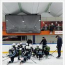 (주)알레스 하남지점 | 하남어린이아이스하키 체험 하남아이스하키 타이거샥스 방문 후기