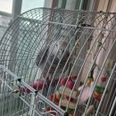 서  문 | 서울 신점 용한 곳 유민지 호신마마 상담 후기 : "엄청 큰 문 앞에 서 있는 나"