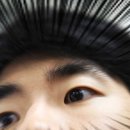 (주)바이럴