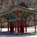 고운사우화루 이미지