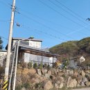 초록펜션 | 낮과 밤이 완전 다른 반전 매력, 양평 초록밤 풀빌라 펜션 리얼후기