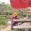 대성농장4 이미지