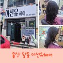 허브헤어미용실 | 달동미용실 이선유헤어 커트 PT클리닉 후기