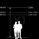 와이제이 홀딩스 이미지