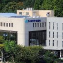 노련