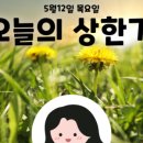 뚱모터스 이미지