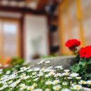 경주황리단길숙소 한옥스테이 목화